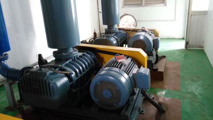 羅茨鼓風(fēng)機(jī)的常見故障及維修