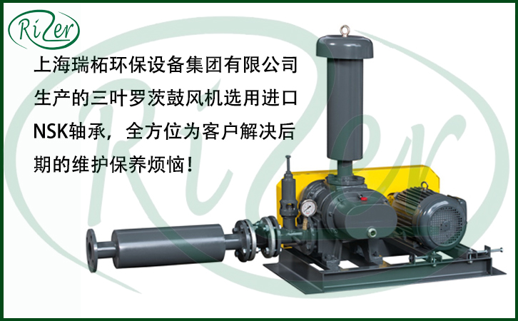 羅茨鼓風(fēng)機(jī)維護(hù)