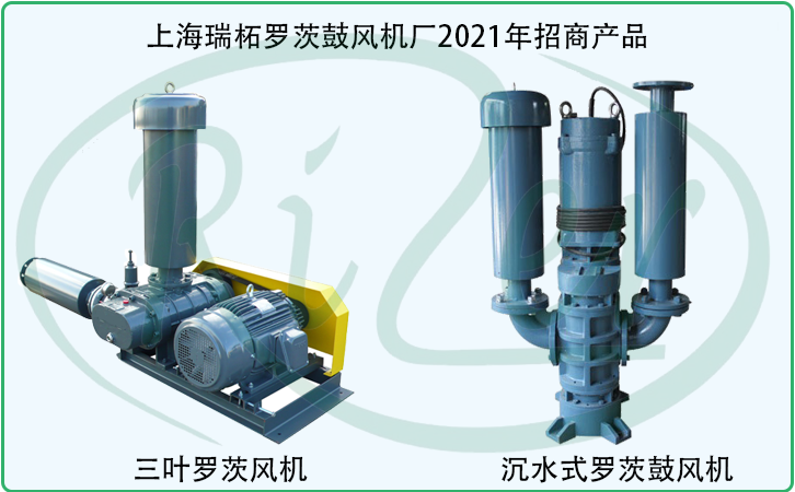 RZ-21系列75千瓦羅茨風(fēng)機(jī)價(jià)格表