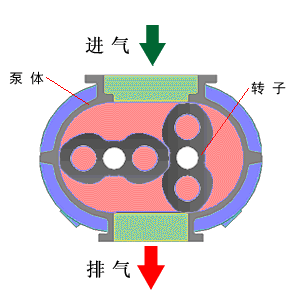 二葉型魯式鼓風機原理動畫