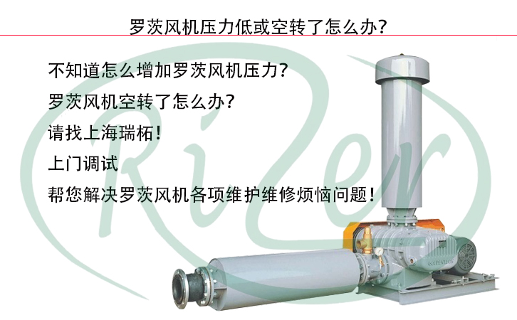 瑞柘羅茨風(fēng)機