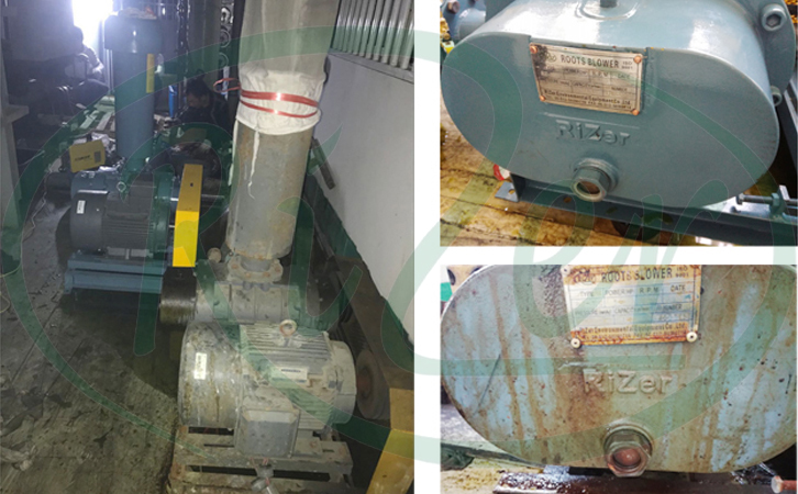 羅茨鼓風(fēng)機(jī)