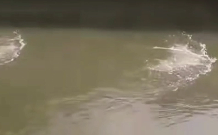 蘇州市政水生態(tài)治理開(kāi)機(jī)效果1