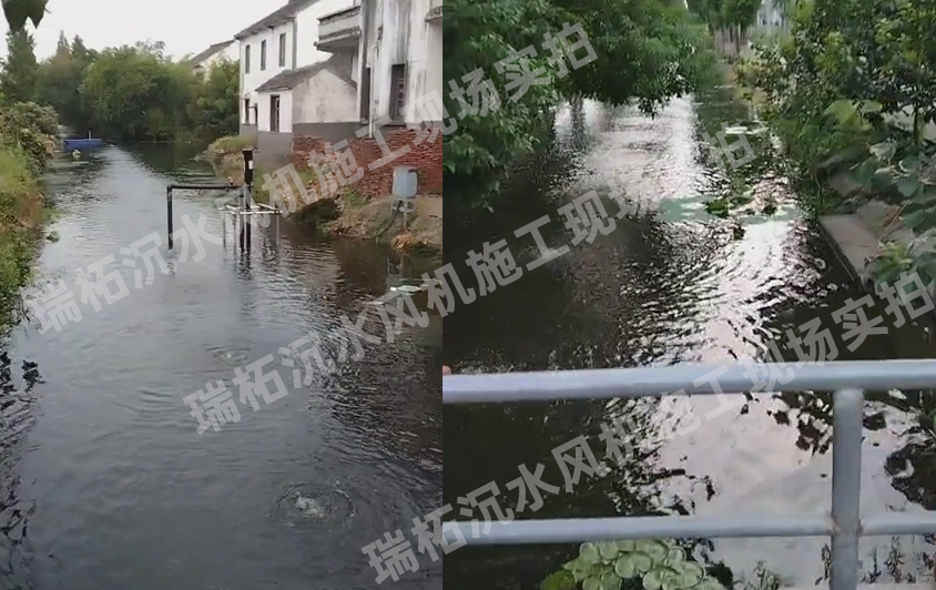 沉水風(fēng)機(jī)廠(chǎng)家上海瑞柘環(huán)保上門(mén)維護(hù)保養(yǎng)現(xiàn)場(chǎng)