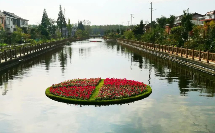 為什么推薦大型水產(chǎn)養(yǎng)殖戶選用羅茨風(fēng)機增氧