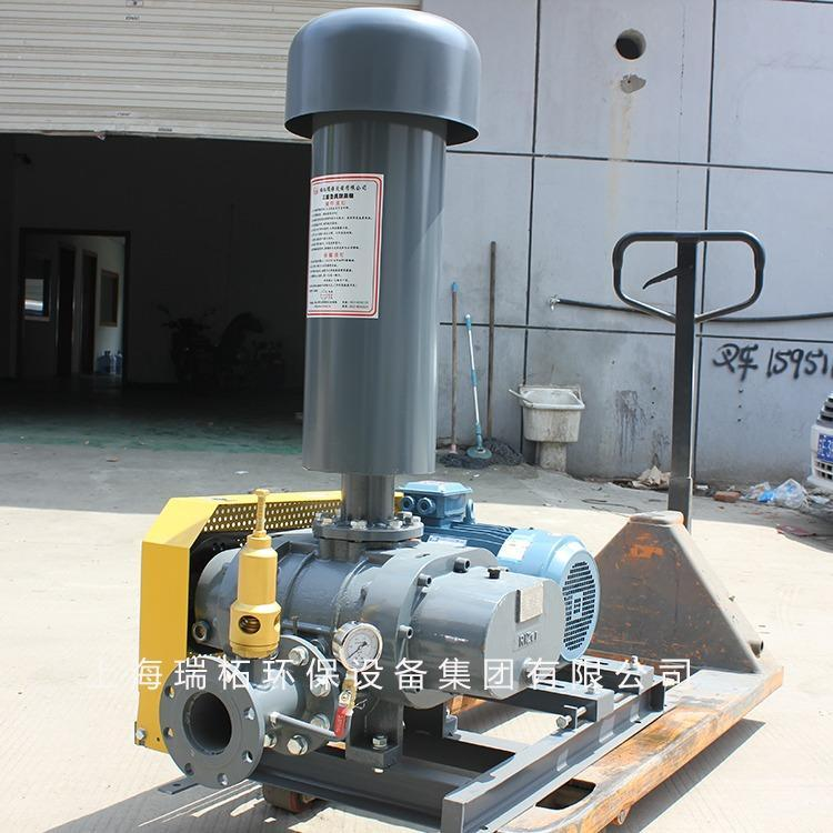 羅茨鼓風(fēng)機(jī)